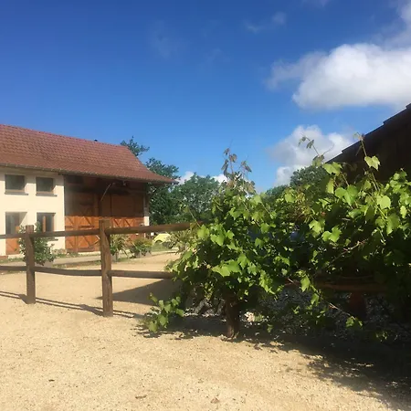 Des Buis De L'ain Apartman