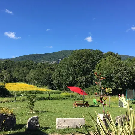 Des Buis De L'ain